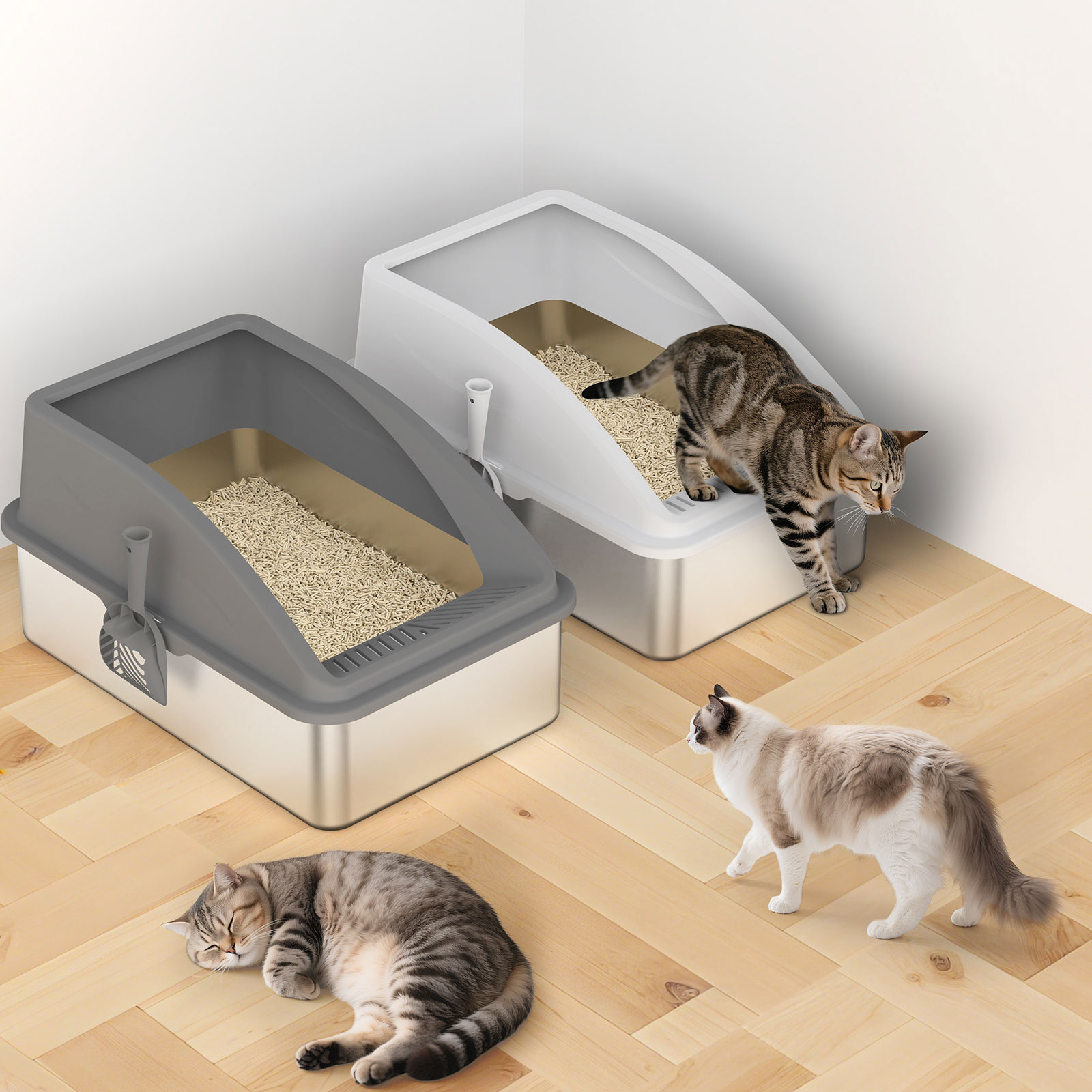 2-Pack Color Block Enclosed Litter Box